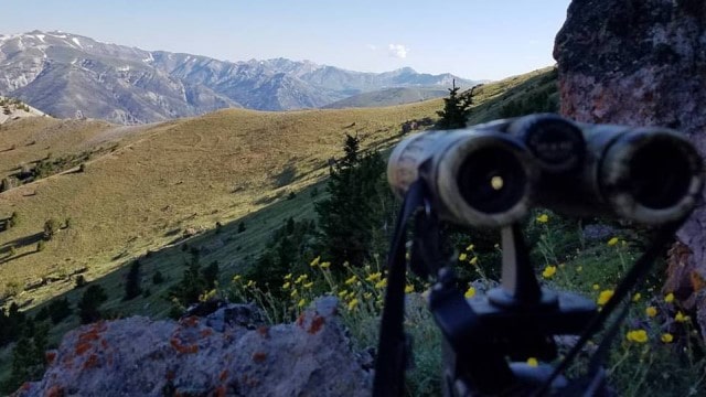 Elk Scouting Tips - Find a Glassing Location -How to scout for elk