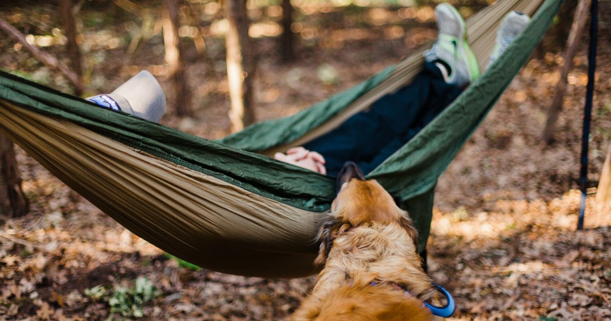 How To Camp In Your Backyard Without A Tent