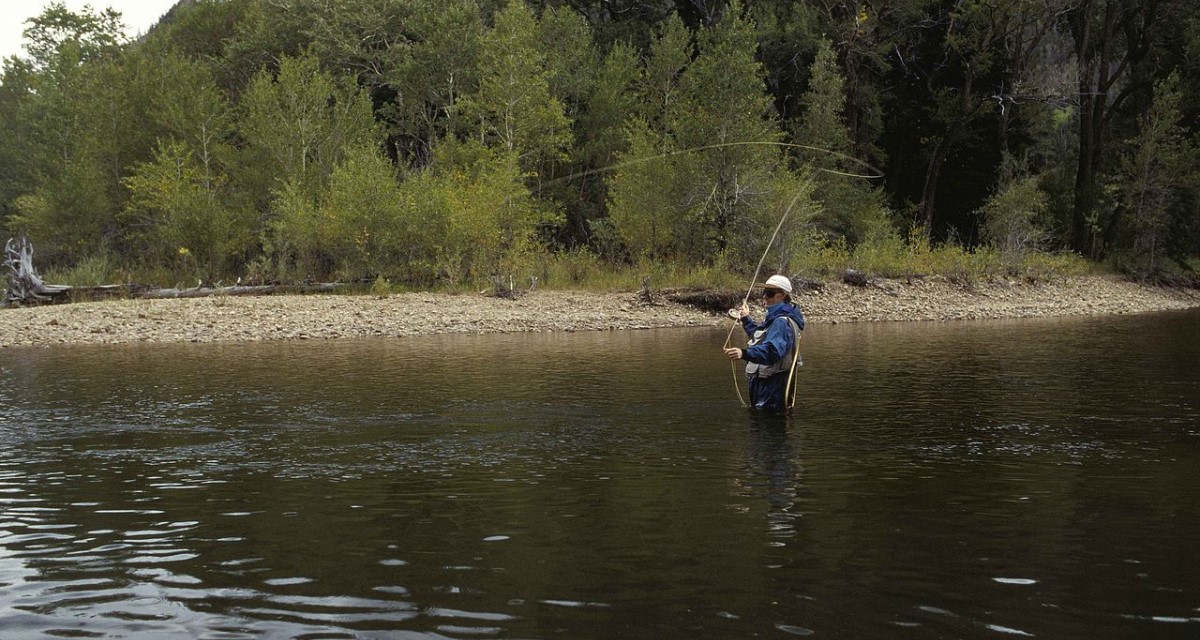 What Are The Different Weights Of Fly Fishing Rods