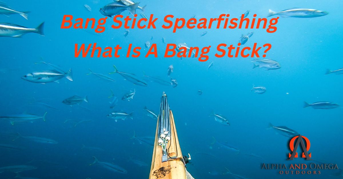 Bang Stick Spearfishing – What Is A Bang Stick?