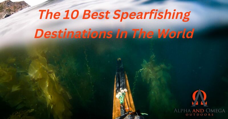 10 best spearfishing destinations in the world featured card