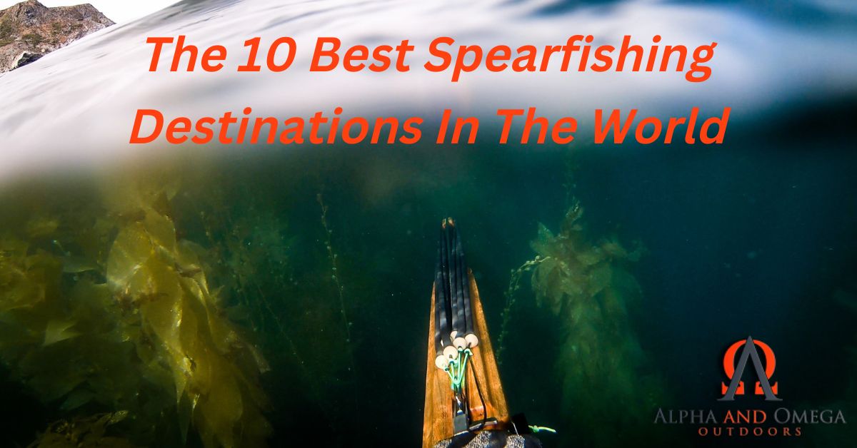 The 10 Best Destinations In The World For Spearfishing