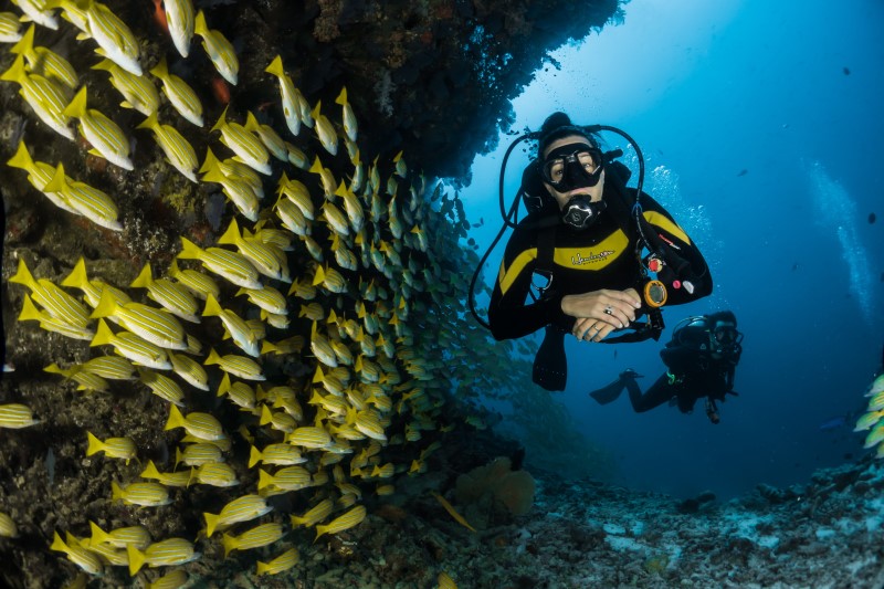 diving in a reef with fish