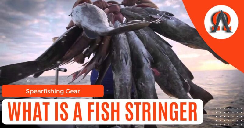 what is a fish stringer