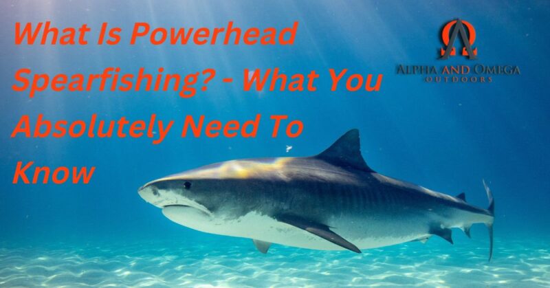 what is powerhead spearfishing - featured