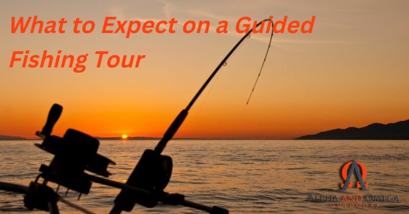 What to Expect on a Guided Fishing Tour
