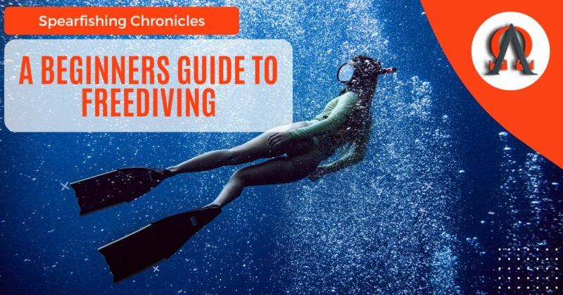 A Beginners Guide To Freediving
