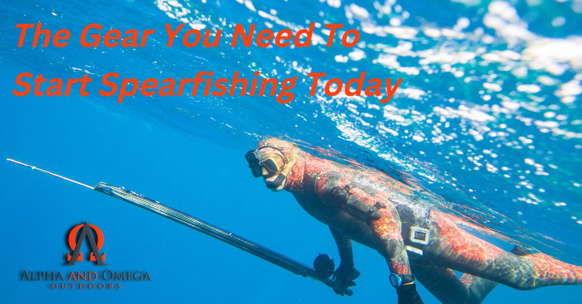 The Gear You Need To Start Spearfishing Today