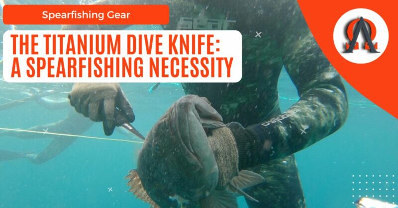 The Titanium Dive Knife A Spearfishing Necessity