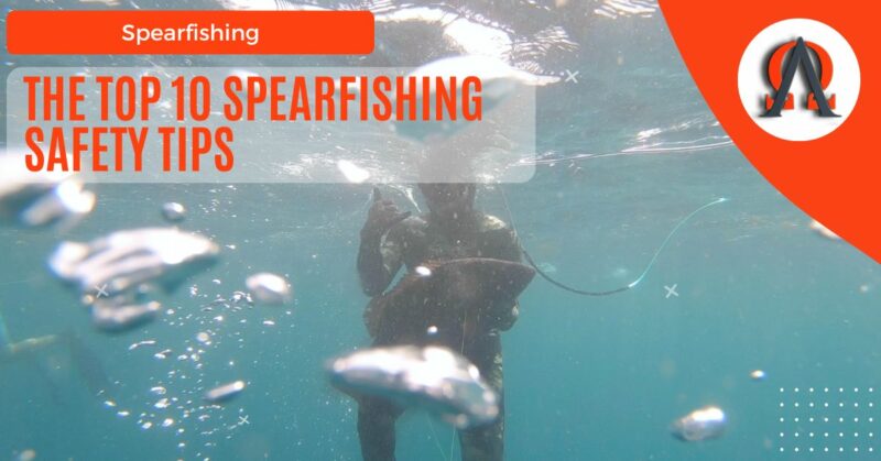 spearfishing safety tips