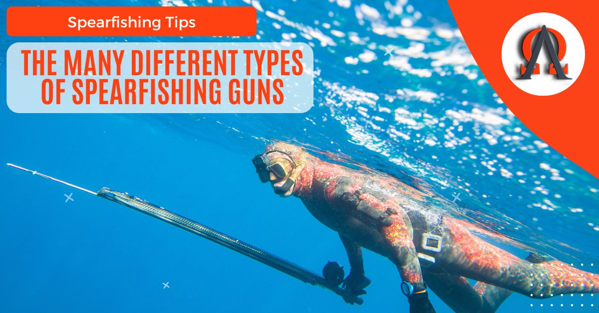 The Many Different Types Of Spearfishing Guns