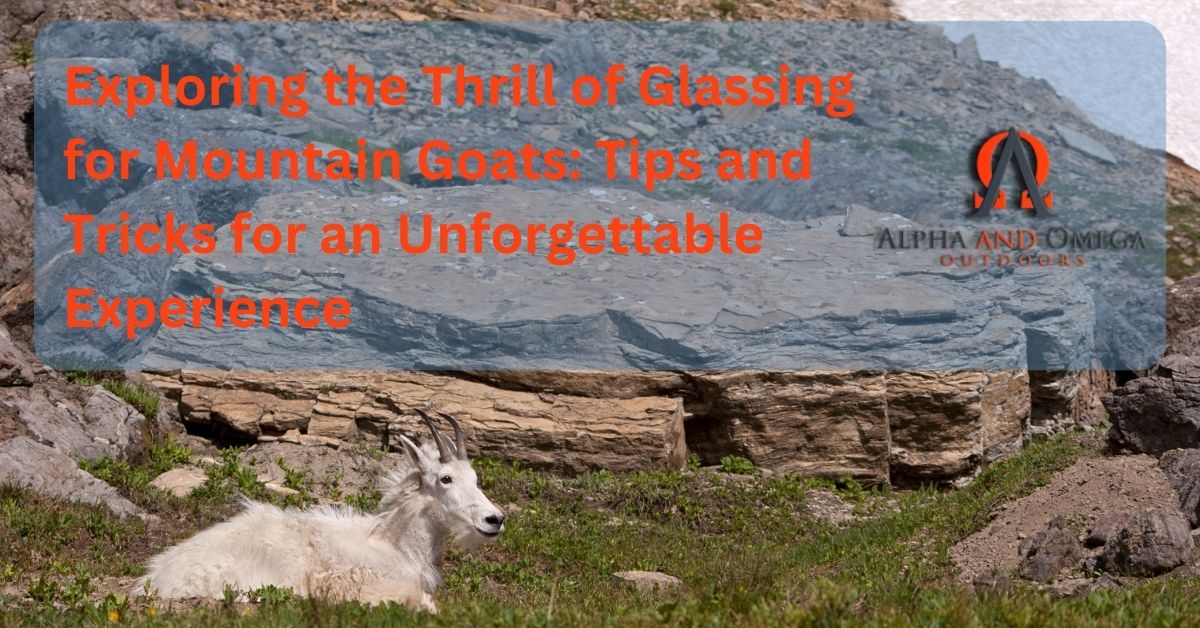 The Ultimate Guide to Mountain Goat Hunting in Wyoming: Tips and Tricks to Bag Your Trophy!
