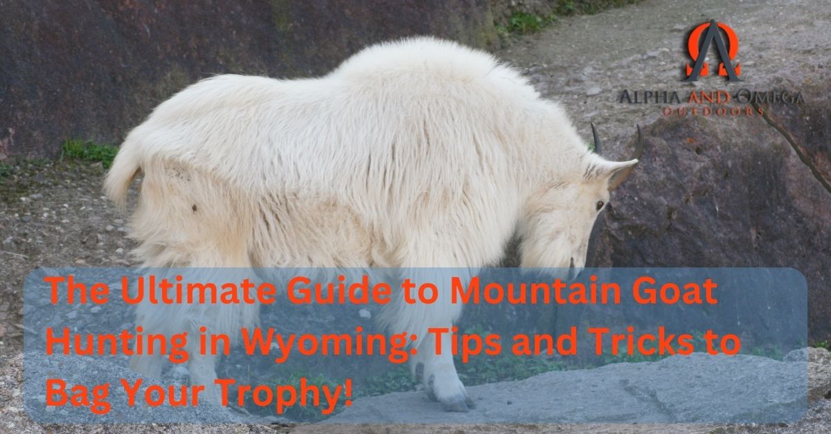 Exploring the Thrill of Glassing for Mountain Goats: Tips and Tricks for an Unforgettable Experience