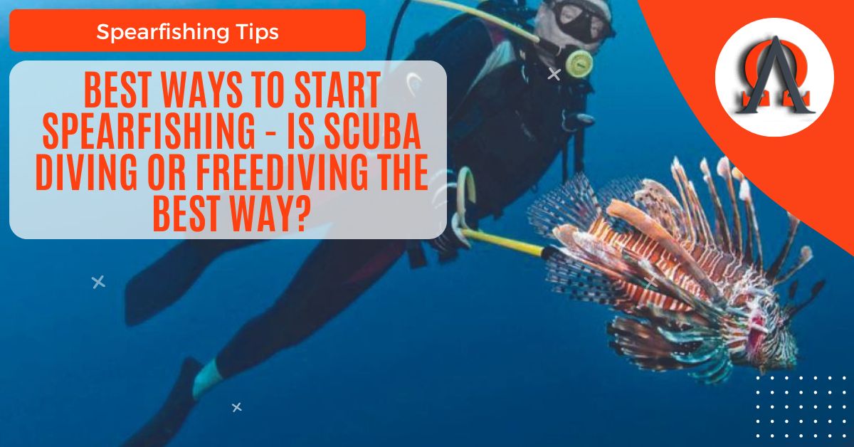 Best Ways to Start Spearfishing – Is Scuba Diving or Freediving the Best Way?